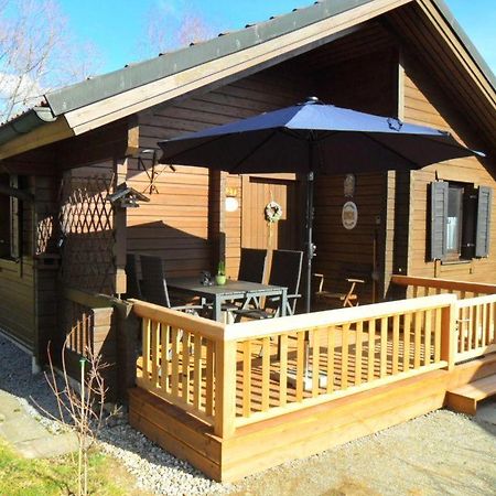 Komfortables-Ferienblockhaus-Nr-27-56-Qm-Bis-4-Personen-Viechtach-Jaegerpark Dış mekan fotoğraf
